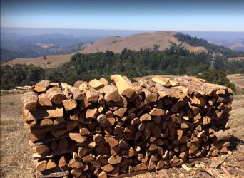 Firewood