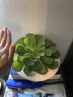 Large faux succulent decor