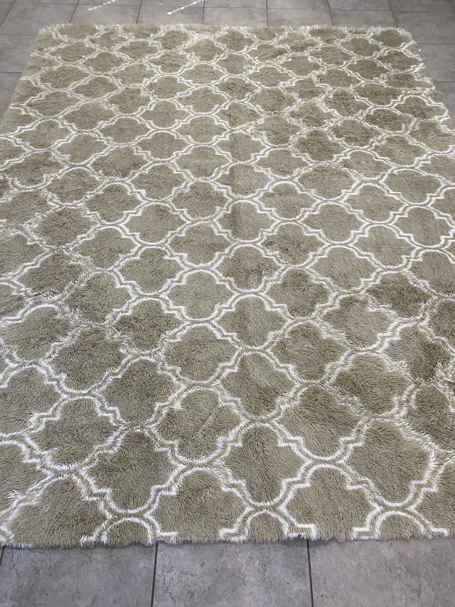 8x10 Shaggy Area Rug