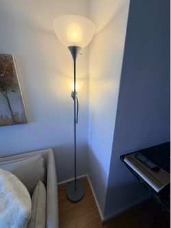 Sleek Silver Floor Lamp