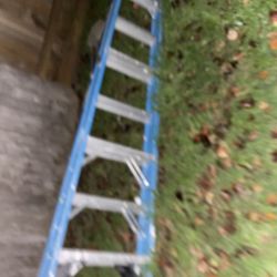 8ft Ladder 