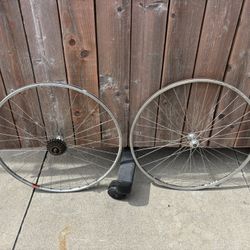 Vintage Rear Ofmega 6-speed / Front Campagnolo 
