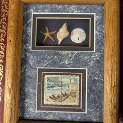 Alan D Waltman Seashell Shadow Box