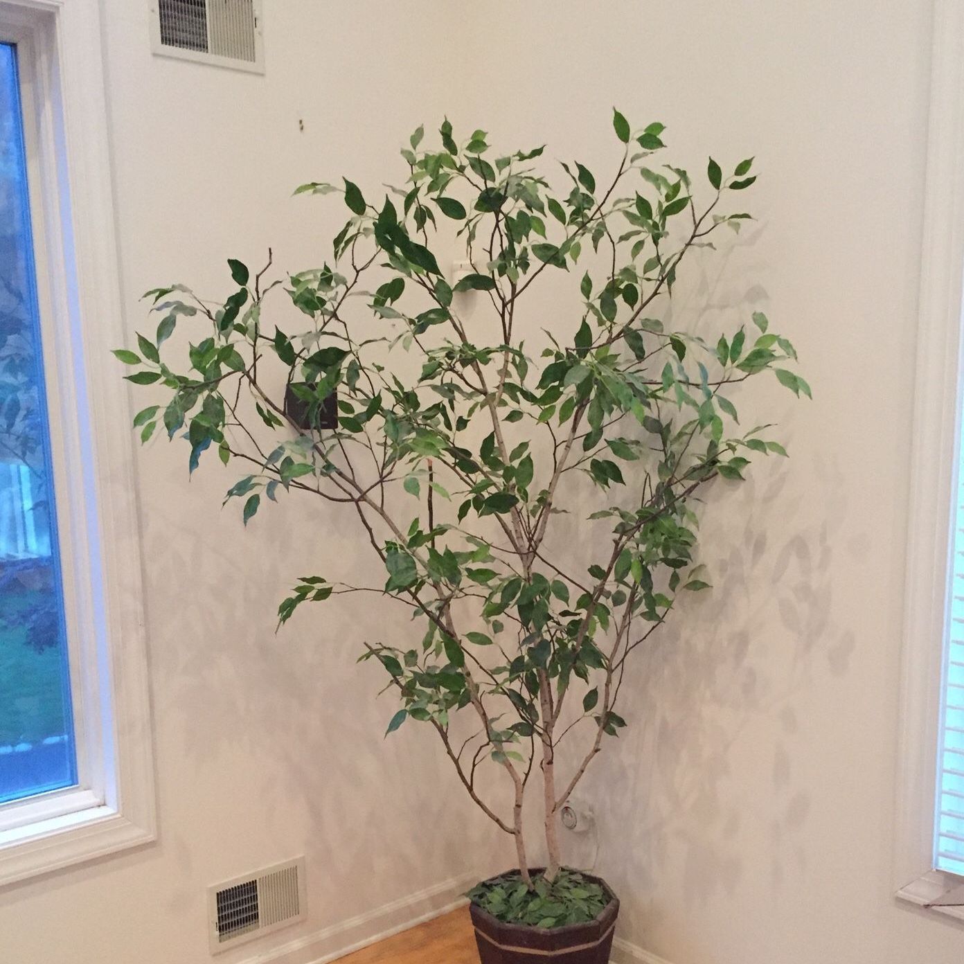 Silk decorative house tree 7ft. In decorative wood container