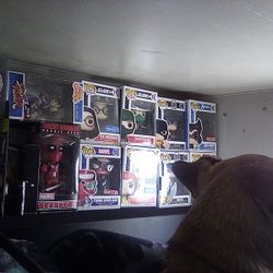 Collectible