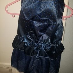 Blue Fancy Dog Dress 