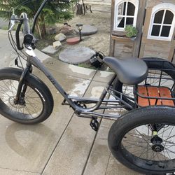 Sun Baja trike 24”