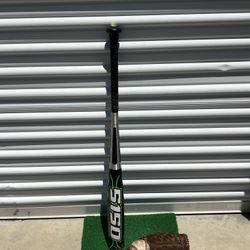 Baseball Bat