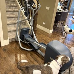 Precor EFX Elliptical machine.  