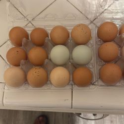 Organic Eggs