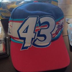 Richard Petty Bundle 