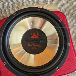 12" Speaker