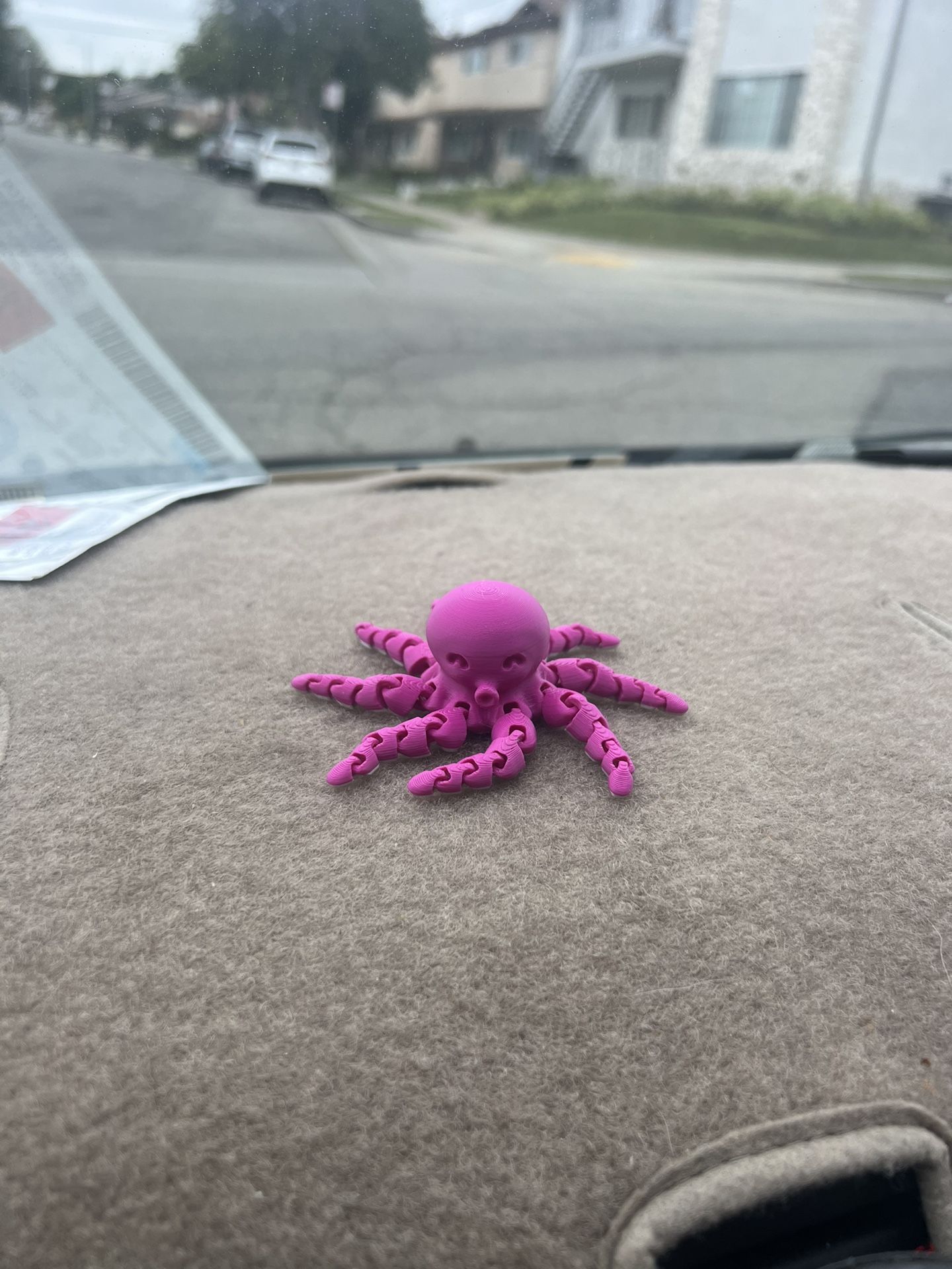 Octopus