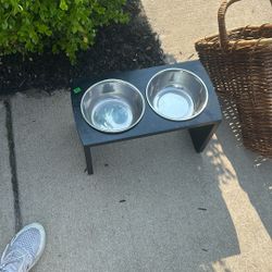 Dog Bowls