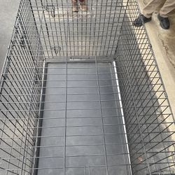 Large New Dog Cage 