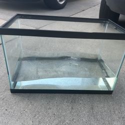 10 Gallon Tank For Reptile Or Fish