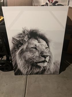 Lion Canvas