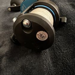 Daiwa Saltist 40