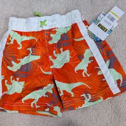 New Boys Swim Shorts Ixtreme Dinosaur Size 18 months