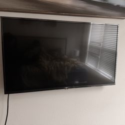 45 Inch LG Tv 