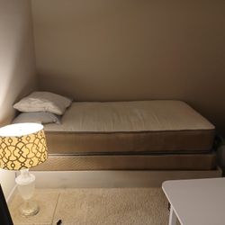 Selling Twin Used Bed With Or Without Bed Frame