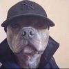 able romez