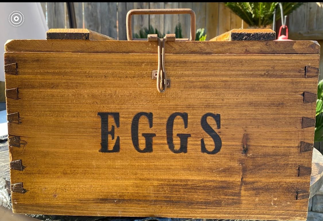 Antiqie EGG carrier box