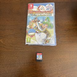 Nintendo Switch Game