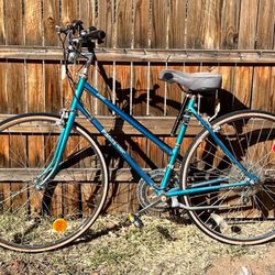 Panasonic Sport Bike