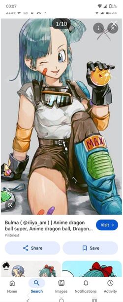 Dragon Ball Z "Bulma" Cosplay Costume Bundle