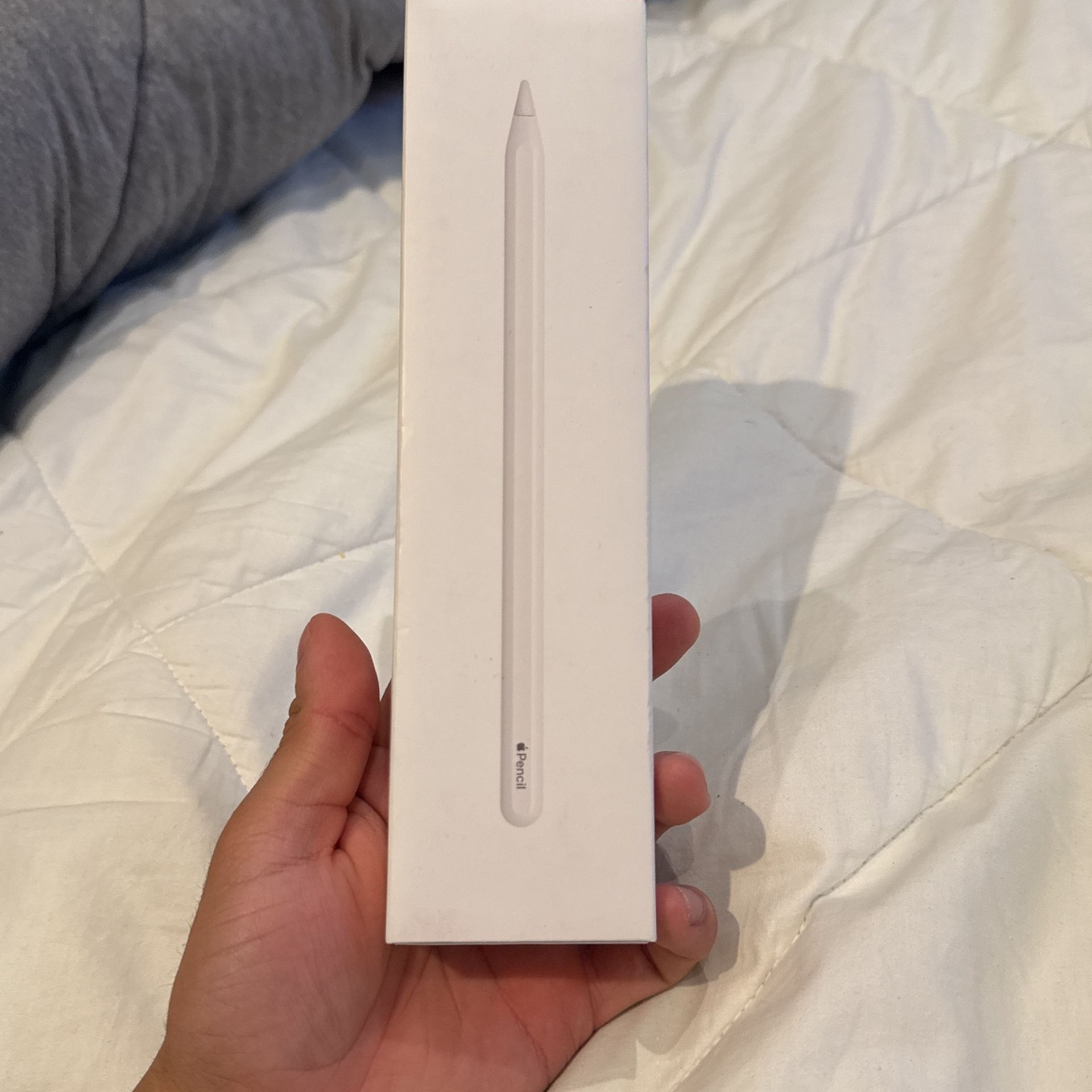 Apple Pencil