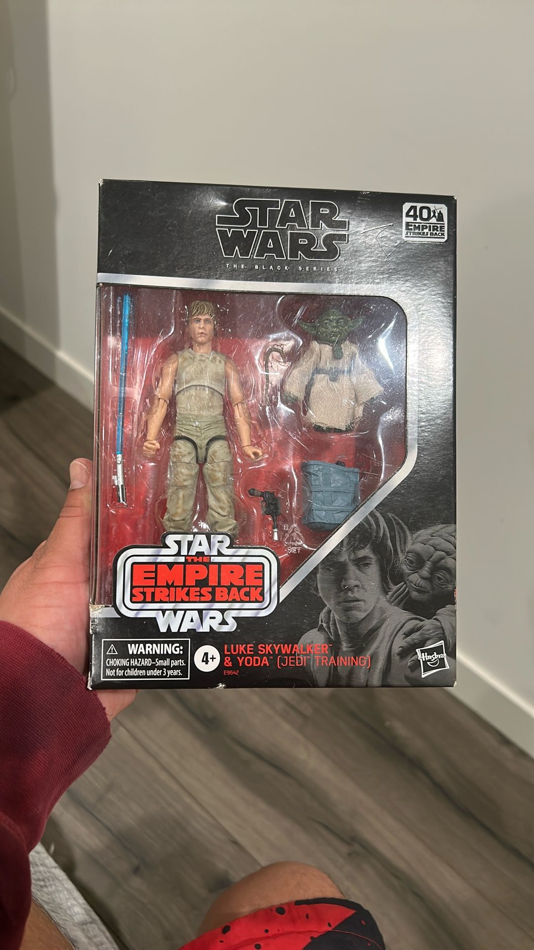 Luke Skywalker & Yoda Star Wars 