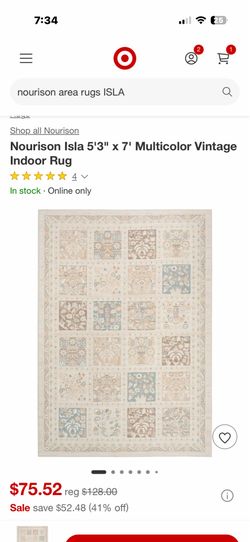 Nourison Isla 5’3”x7’ Area Rug