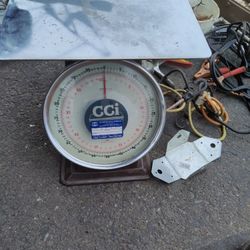 100 Pounds CCI Scale