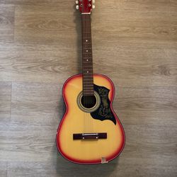 Acoustic Project Guitar