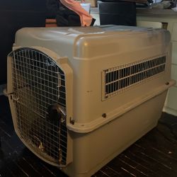 Permeate Dog kennel