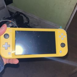 Nintendo Lite