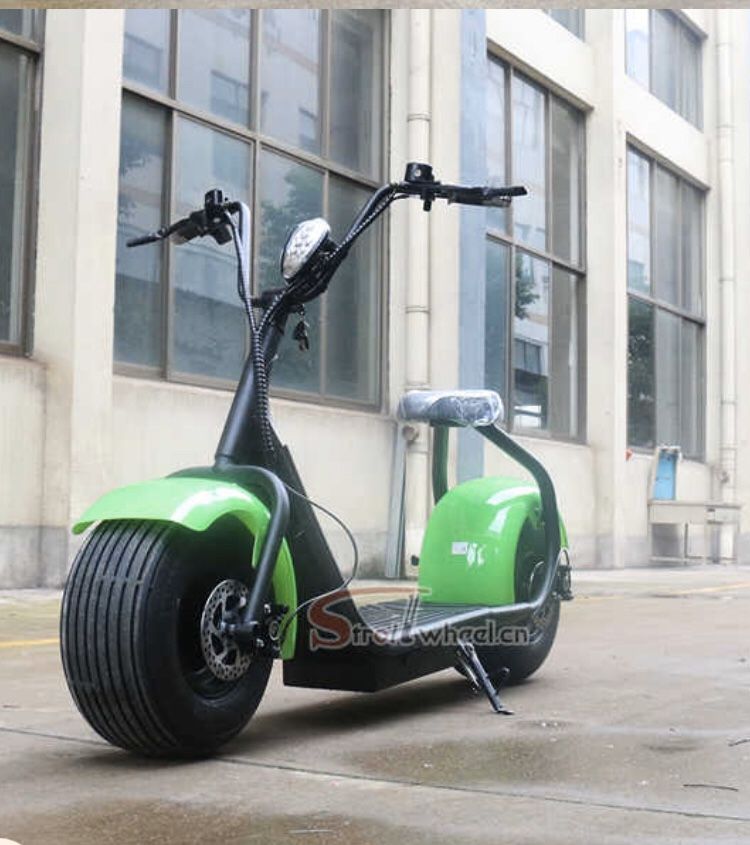 Citycoco Electric Scooter