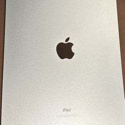 iPad 10 Generation 256G