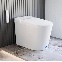Smart Toilet
