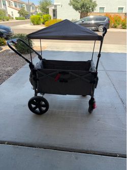 Wagon With Removable Canopy