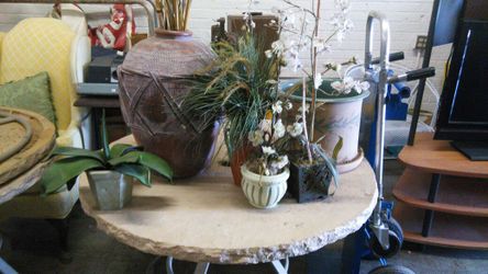 POTS AND PLANTS $45