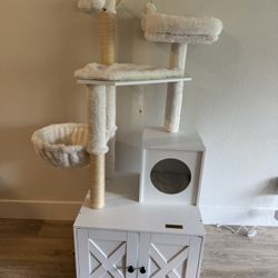 Cat Tree! 