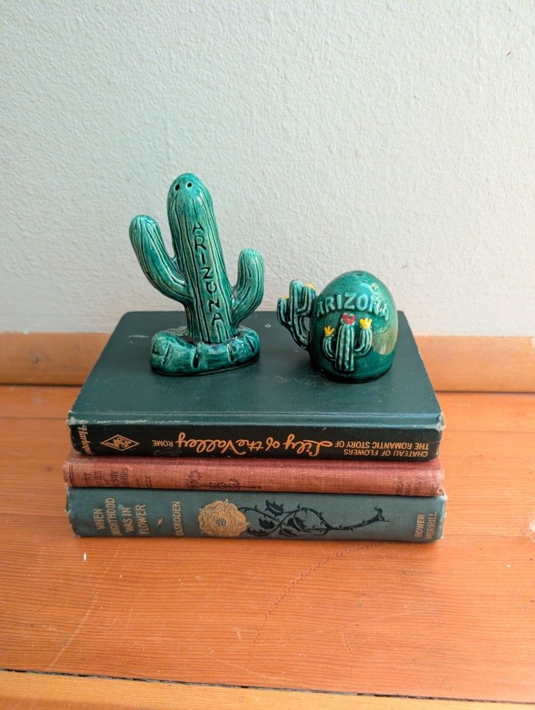 Vintage Arizona Souvenir Salt And Pepper Shakers