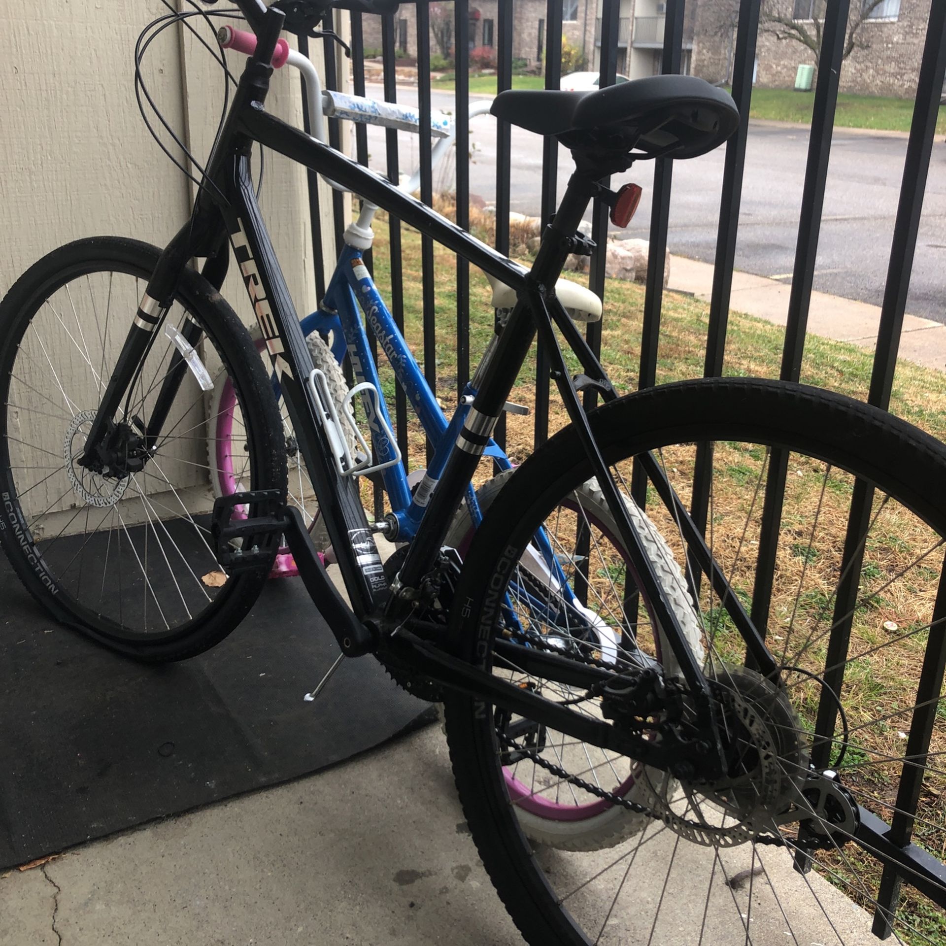 Tree Bike