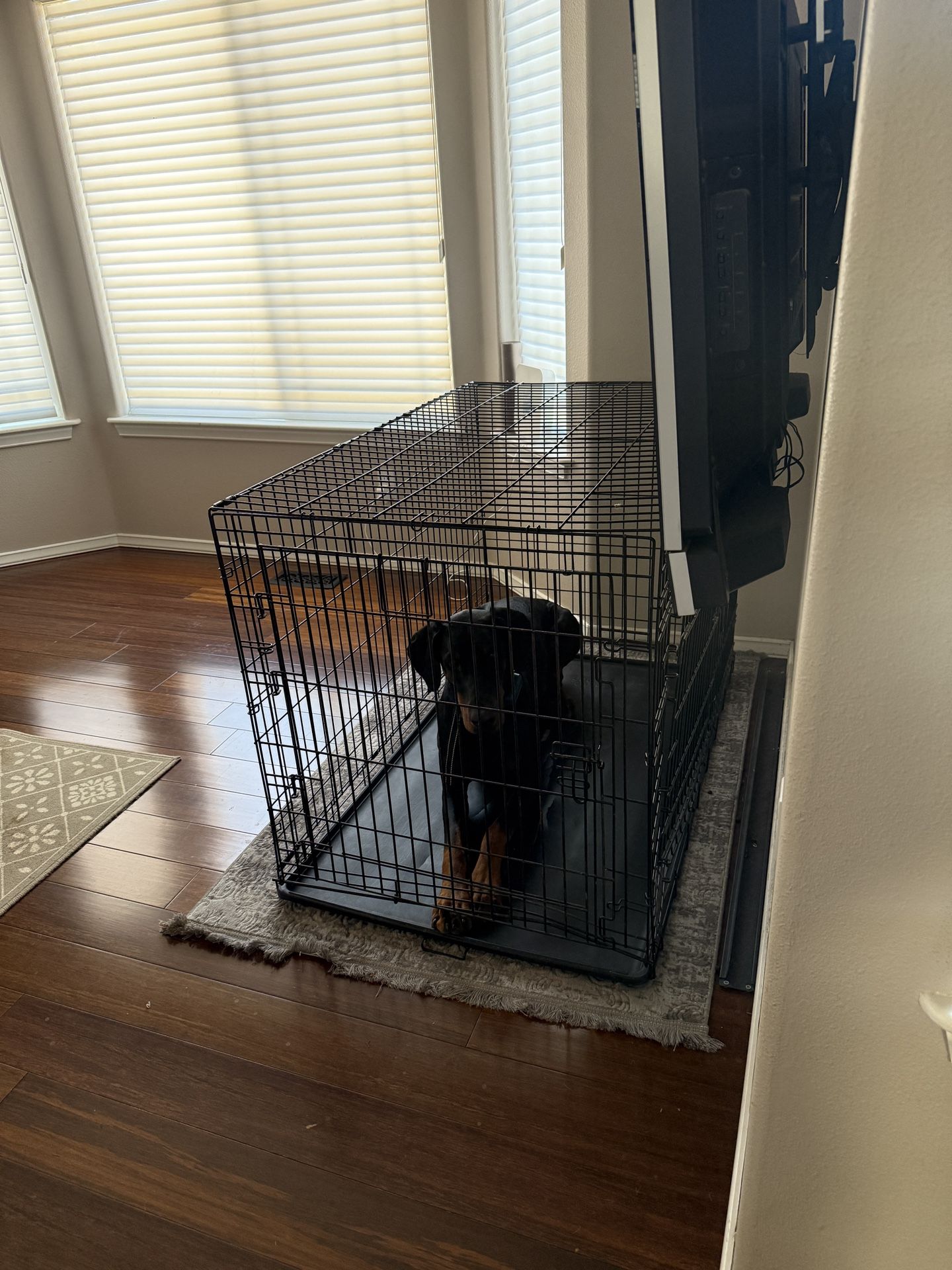 FREE Large Crate, Pick Up Only