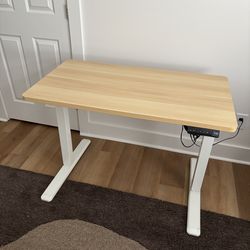 Standing Desk w/ Monitor and Adjustable Arm