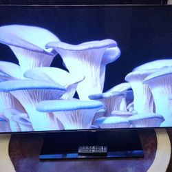 55" 4k HDR OLED Smart 3D TV 2015