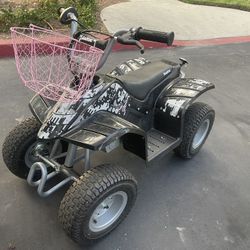 Quad dirt Razor 24V Electric 