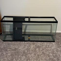 Fish tank- 80 Gallons?